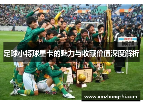 足球小将球星卡的魅力与收藏价值深度解析