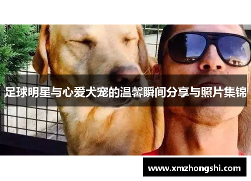 足球明星与心爱犬宠的温馨瞬间分享与照片集锦