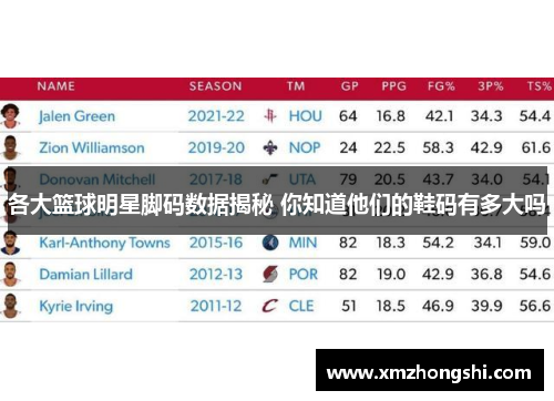 各大篮球明星脚码数据揭秘 你知道他们的鞋码有多大吗
